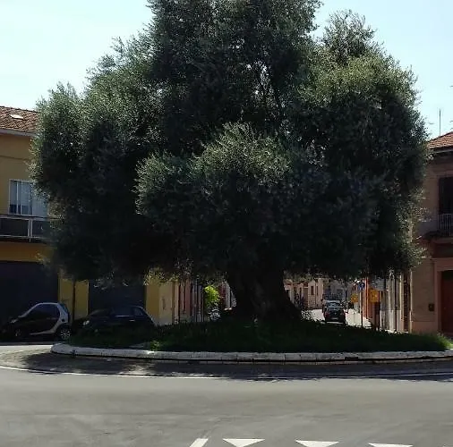 Apartamento In Centro Storico, Vicino Stazione E Al Mare